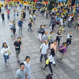 Crowd counting visualization